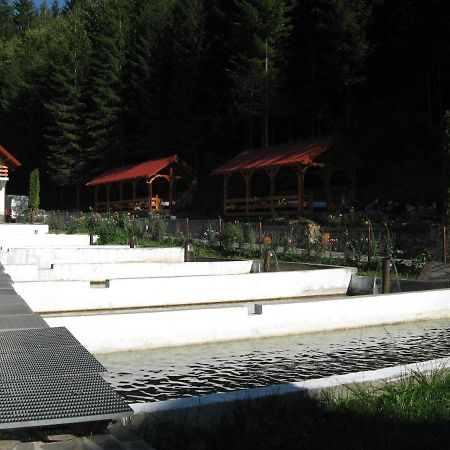 Hotel Paltinis Statjunea Borsa Экстерьер фото