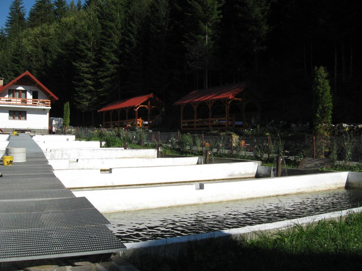 Hotel Paltinis Statjunea Borsa Экстерьер фото