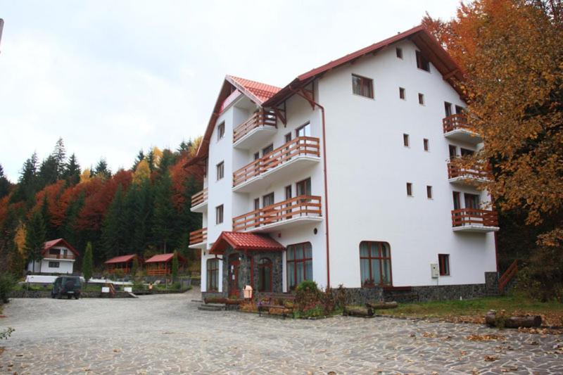 Hotel Paltinis Statjunea Borsa Экстерьер фото