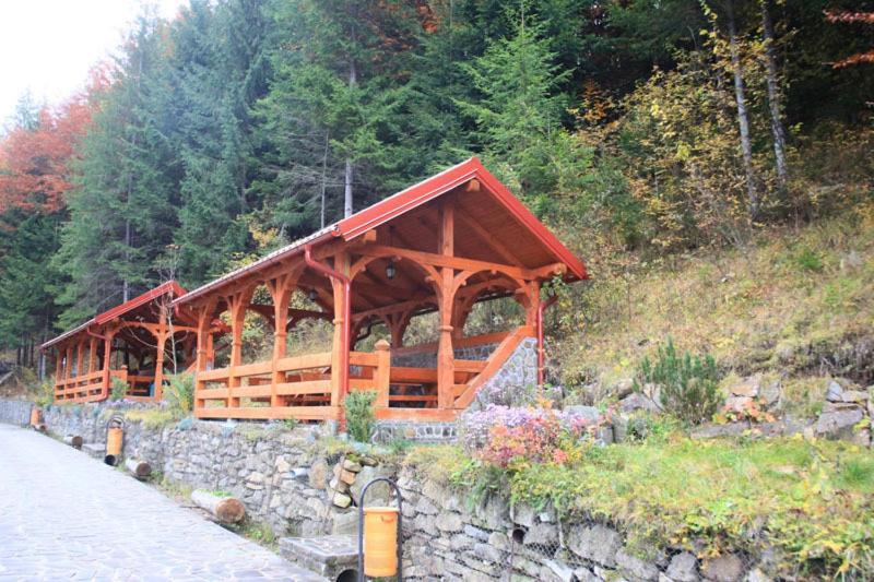 Hotel Paltinis Statjunea Borsa Экстерьер фото