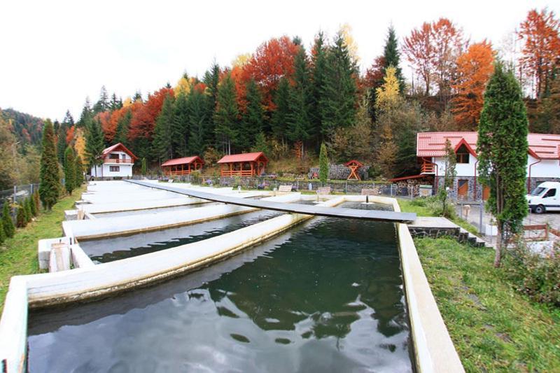 Hotel Paltinis Statjunea Borsa Экстерьер фото
