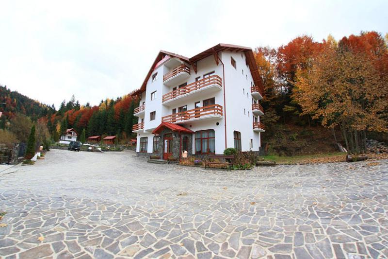 Hotel Paltinis Statjunea Borsa Экстерьер фото